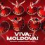 Viva, Moldova! (Andrew Rayel Remix)