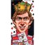F-1 Driver Series Vol.1 "Ayrton Senna"