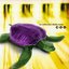 La Velocità Della Luce