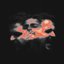 CURCUNA [Explicit]