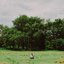 Rush of Energy [Explicit]