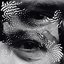 Macro