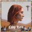 Lady Bird - Soundtrack from the Motion Picture