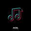 TikTok Versions