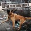 Suffer To Return Harder Mixtape