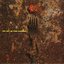 Split EP: The Get Up Kids & Coalesce