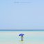 one summer