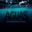 Aguas