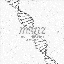 msnz <Beyond Beauty>