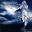 W Imię Nocy