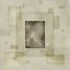 Coalescence
