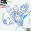 Adolescent - Single