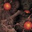 Sheol 4-way Split