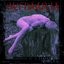 Cadence of a Murder