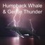 Humpback Whale and Gentle Thunder Sounds