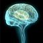 Brain Scan