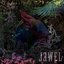 JEWEL (2nd press)