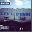 Live Bait Vol. 08