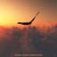 Dance Music Compilation, Vol.1