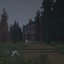 whitepine