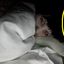 Avatar for Lady_Killer69