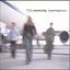 fly away home