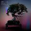 Any Random Kindness [Explicit]