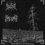 Black Winter of Desolation (Split)