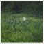 The Gold (Phoebe Bridgers Version)
