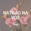 Natrag na voz