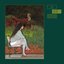 Todo Baila (feat. M. Ward)