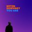 You Are (Instrumental Economy) (feat. Ashwin Shrinivasan & Anna Phoebe)