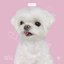 Best Friend (Feat.coco) (Full Ver.)