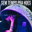 Sem Tempo Pra Hoes