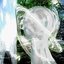 Tremble, and bloom / 梅