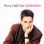Terry Hall: The Collection