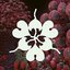 Ovule (feat. Sega Bodega) [Sega Bodega Remix] - Single