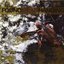 Dulling Occams Razor - EP