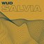 Salvia - Single