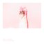Why Not - Single