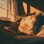 Pillow Light