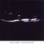 Invisible Front.2005