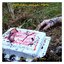 Food for the Worms