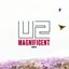 Magnificent (Remixes)