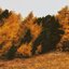 Stille - Single