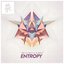 Entropy