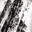 Hissing Veil 12''
