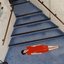 Floor Seat - Single