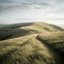 Where the Downs Breathe
