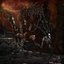 Subjugation of Anthropoid Forms